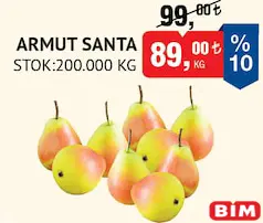 ARMUT SANTA KG ARMUT SANTA KG